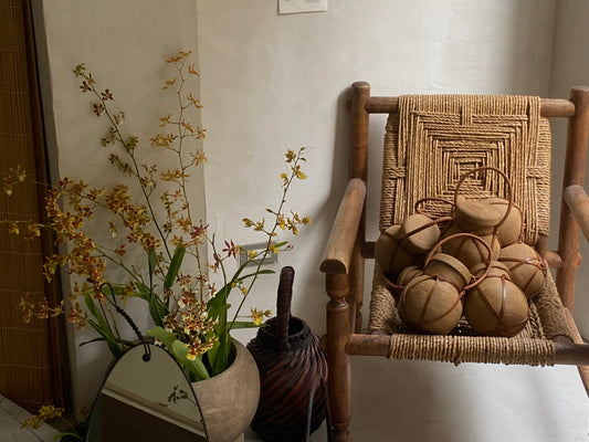 Our First Lesson in the Life of Oncidium