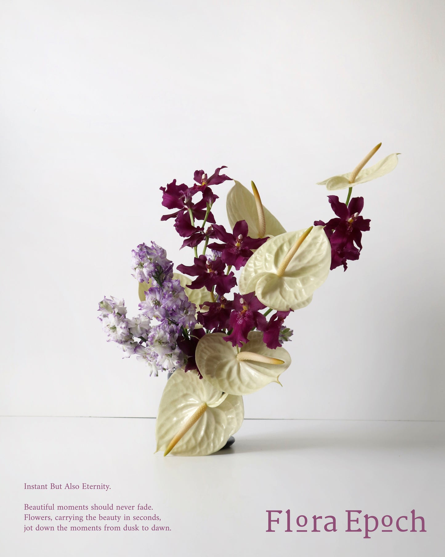 Miltonidium Hwuluduen Kenzie 'Passion'